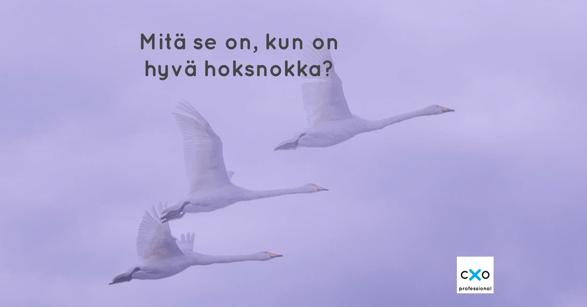 Hoksnokka