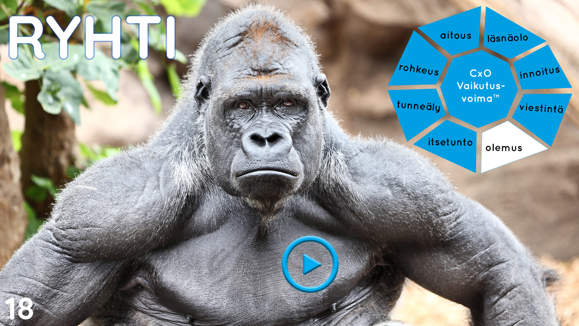 Ryhdin vaikutus vaikuttavuudessa